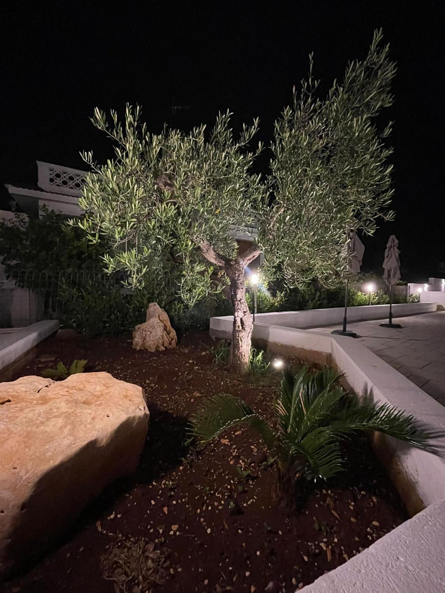 Allivigne Rooms & Pool Polignano a Mare Εξωτερικό φωτογραφία