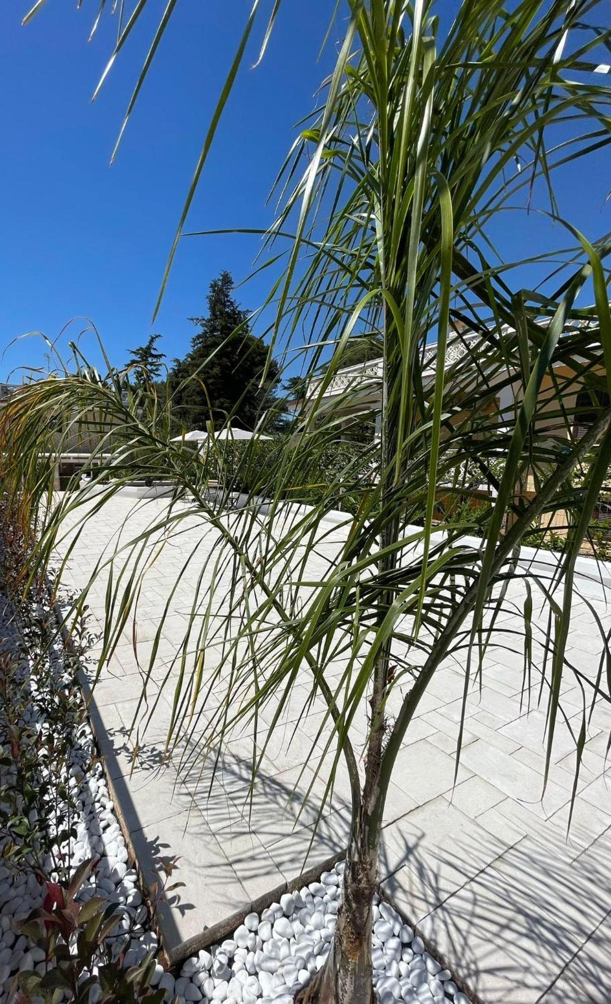 Allivigne Rooms & Pool Polignano a Mare Εξωτερικό φωτογραφία